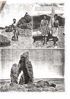 Page 2 Orchid-Island
