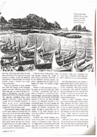 Page 4 Orchid-Island