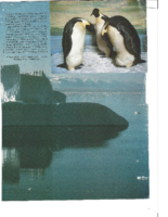 window-on-antarctica-pt-4-museum-magazine-may-1983